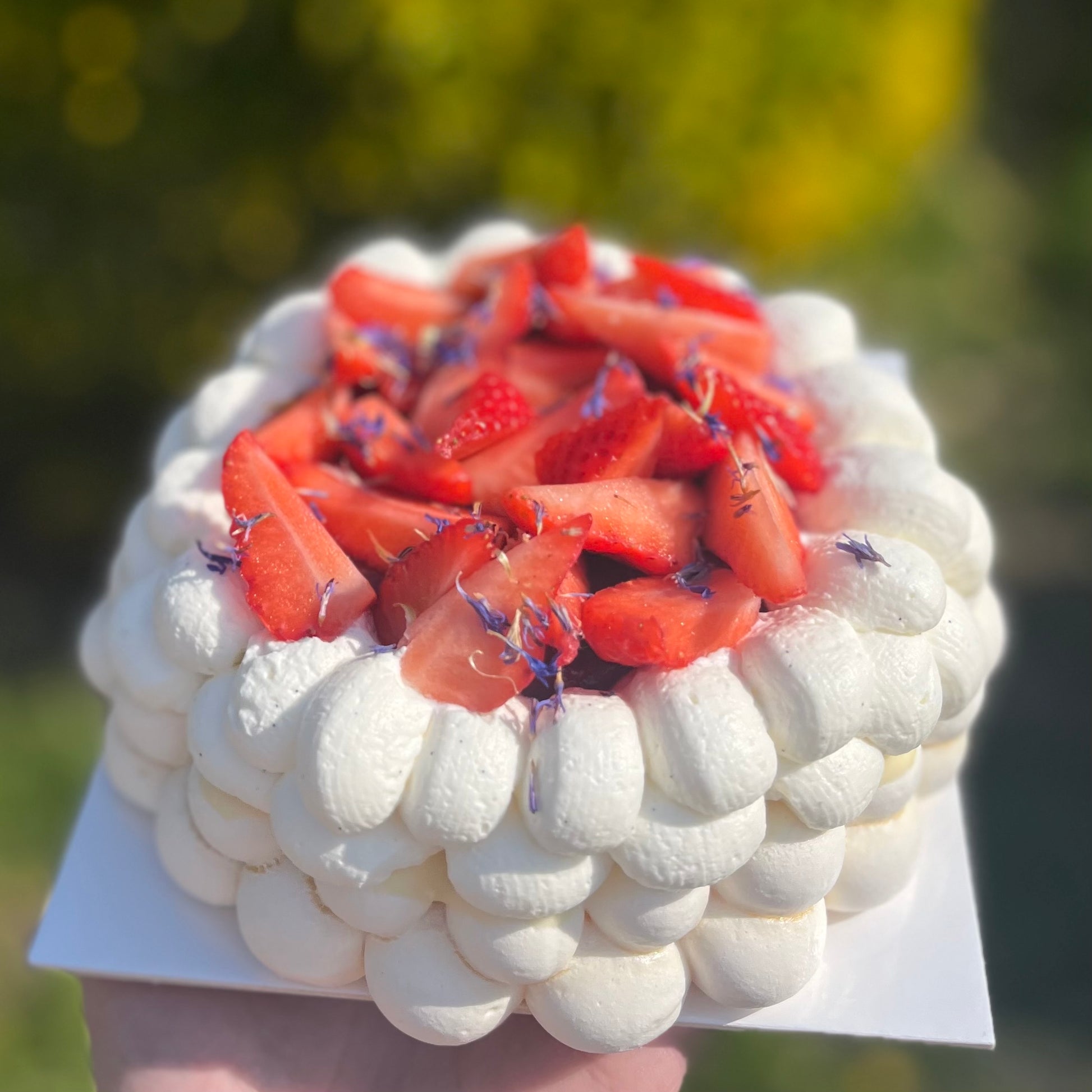Pavlova aux fruits rouges