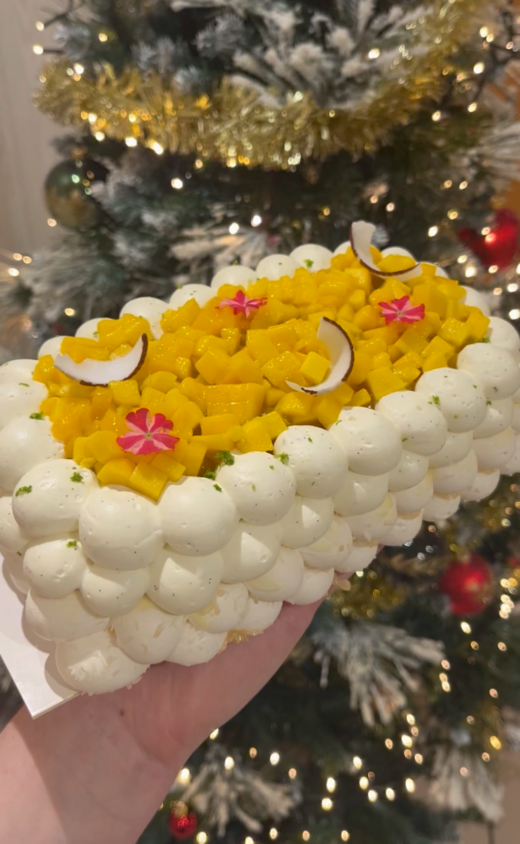 Pavlova spéciale fêtes