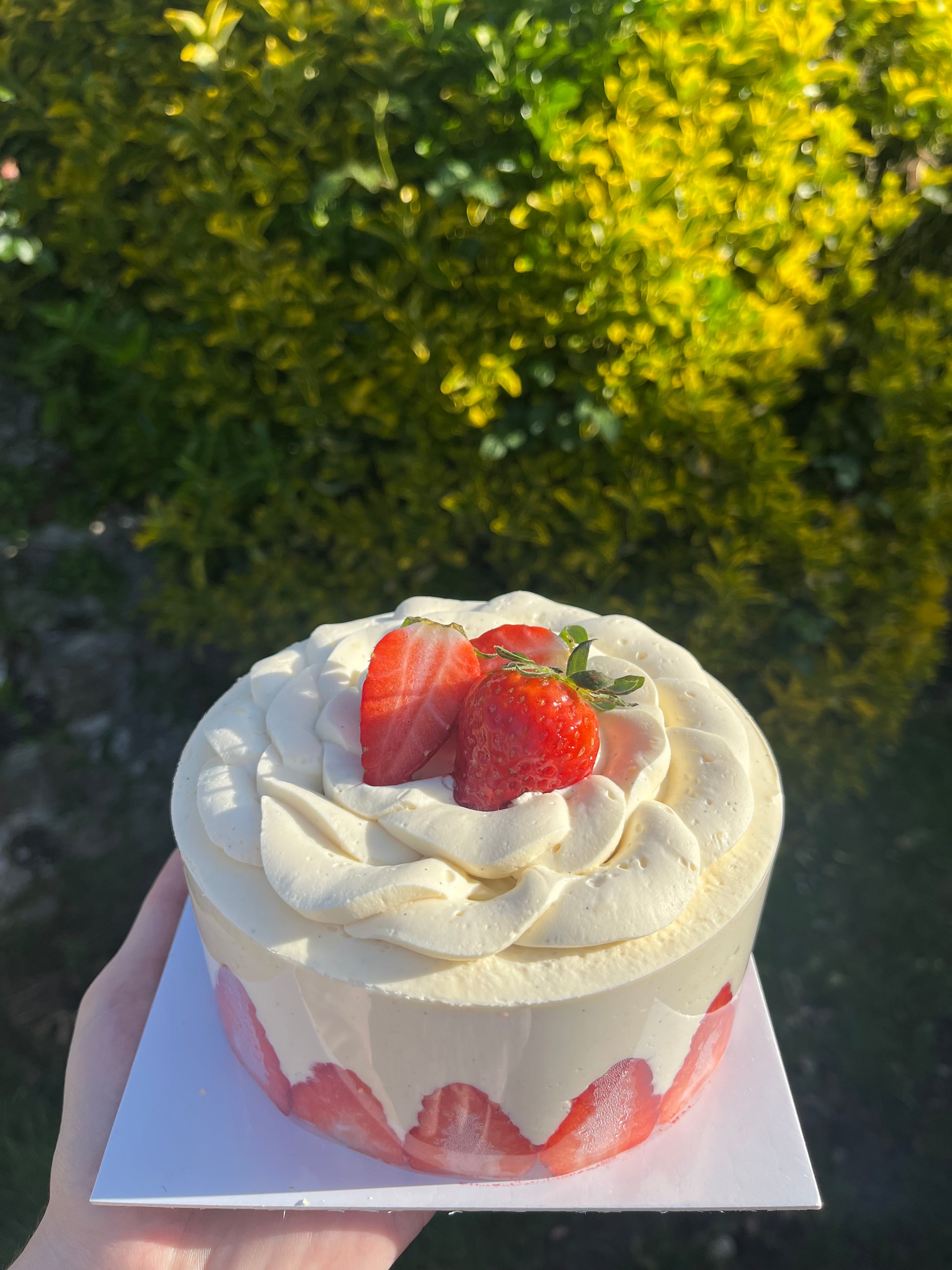 Fraisier